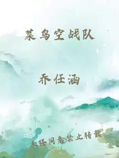 菜鸟空战队