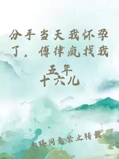 分手当天我怀孕了，傅律疯找我五年